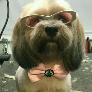 Meet your Posher, Gail